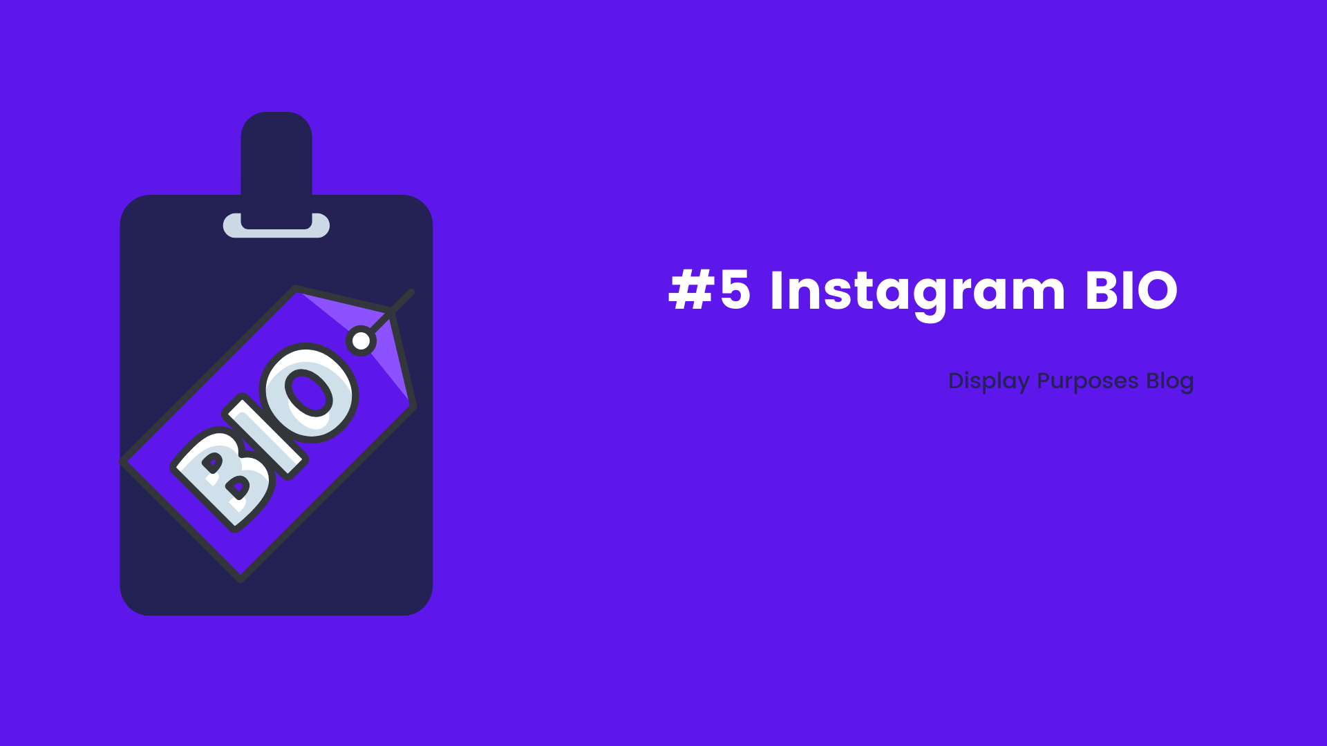 Instagram BIO Instagram Audit